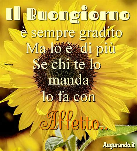 tutti buongiorno buona giornata